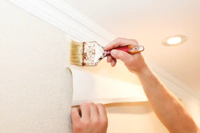 Pose de papier peint à Pusignan — revêtements muraux et toiles de verre